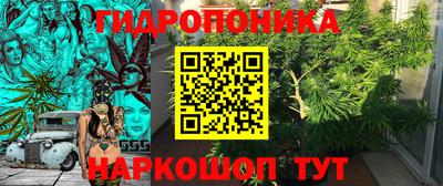 spice Камышлов