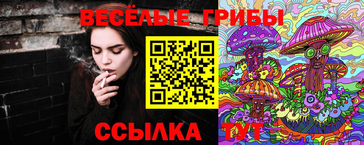 Галлюциногенные грибы Cubensis Нарьян-Мар